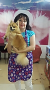 Шпиц Потап